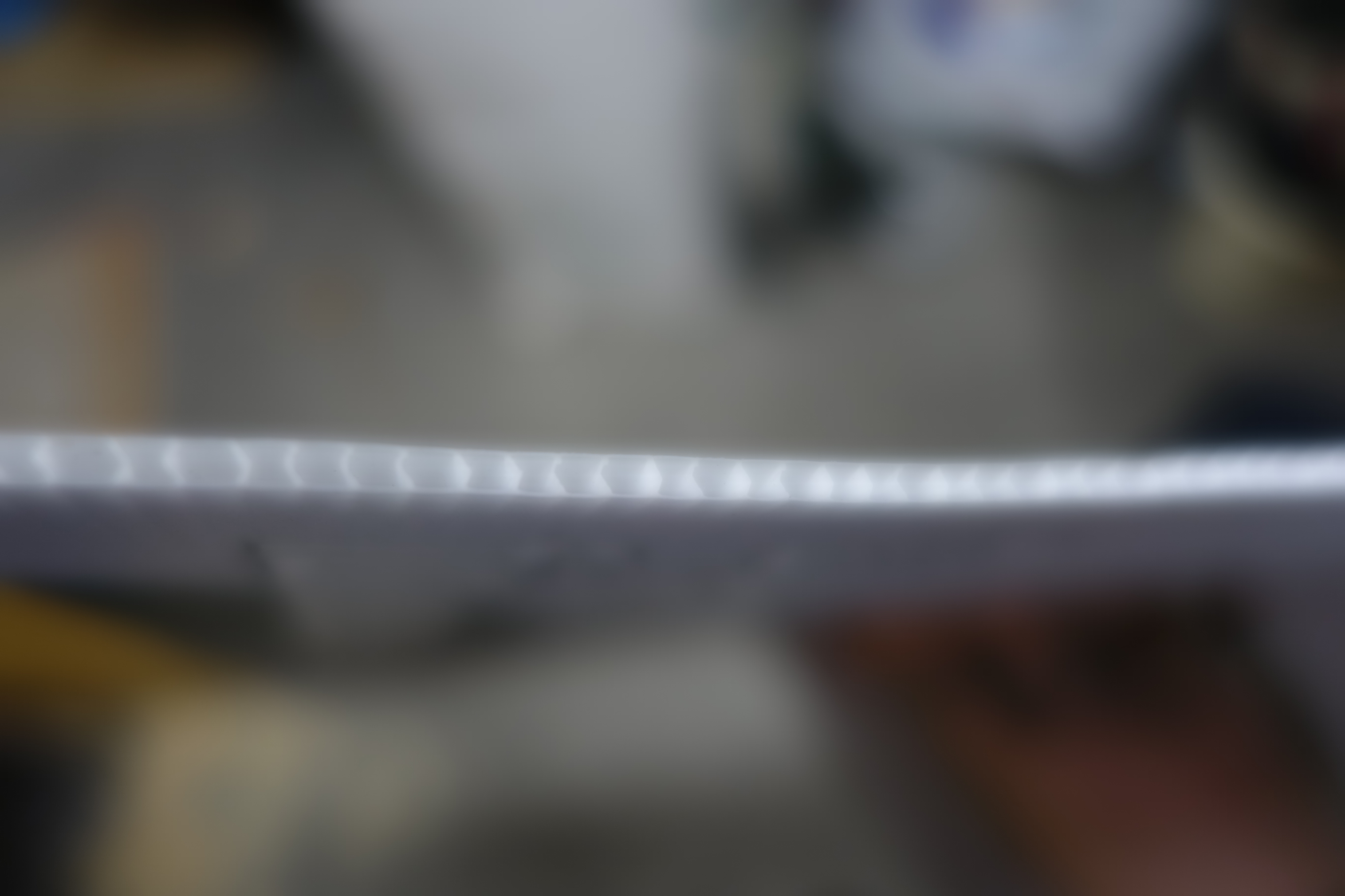 DSC06598.JPG