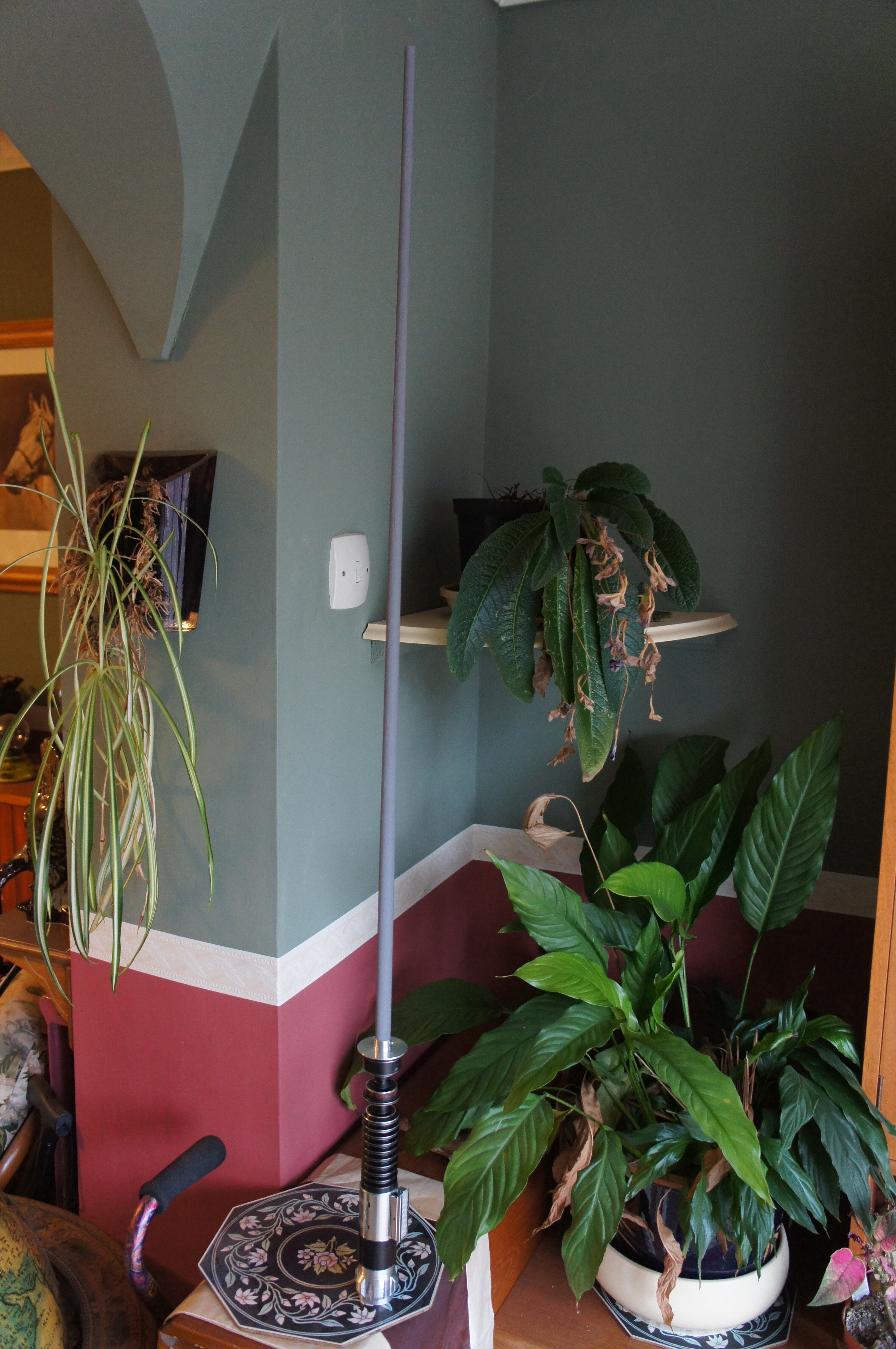 DSC08684.JPG