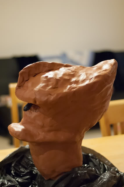 DSC_0018-1.jpg