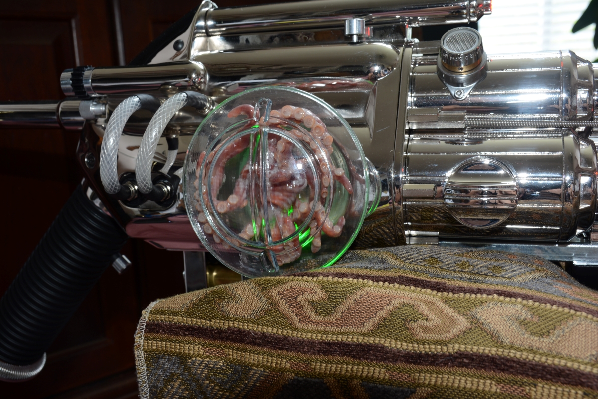 DSC_2923m.JPG