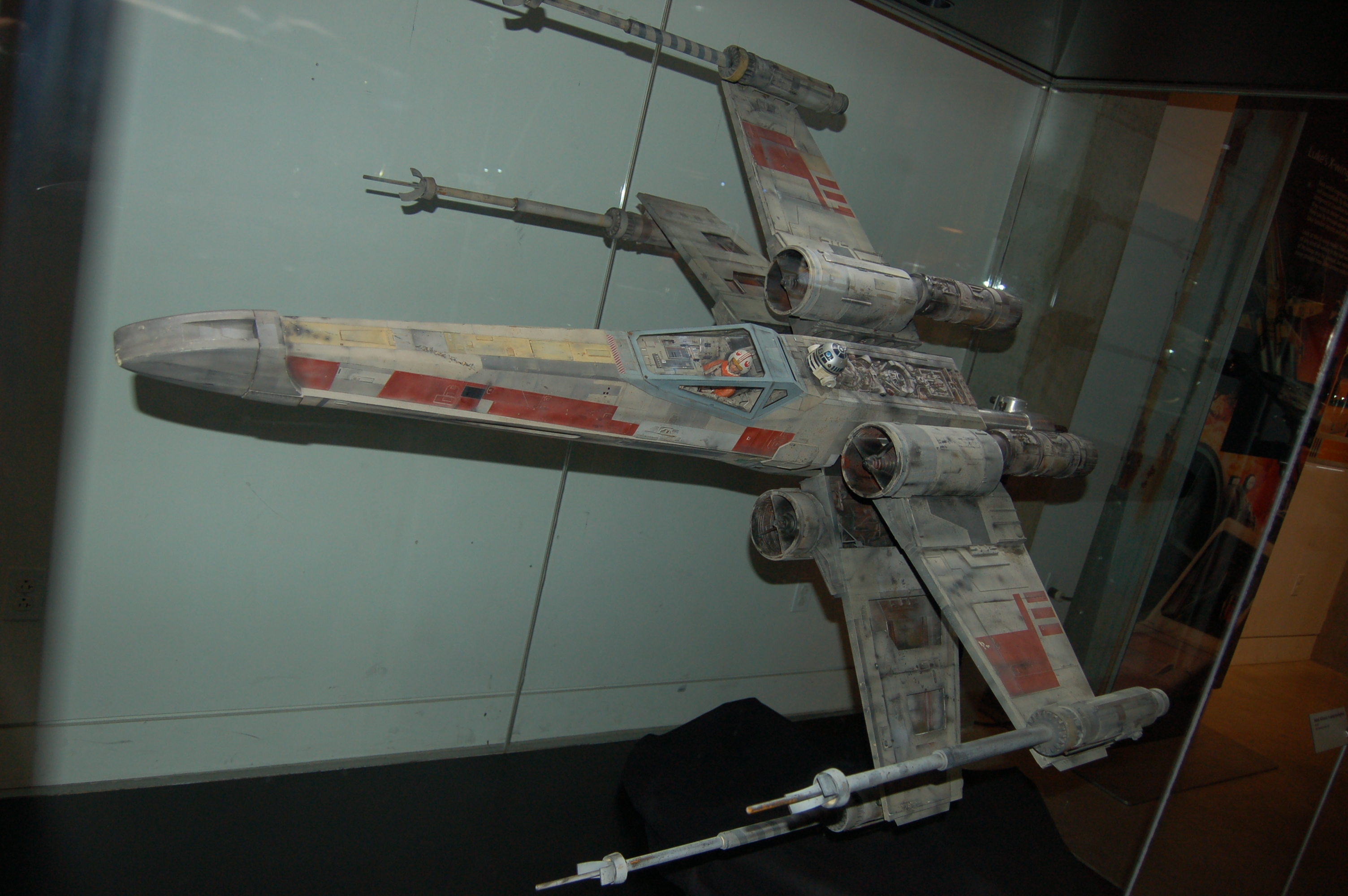 DSC_5049.JPG