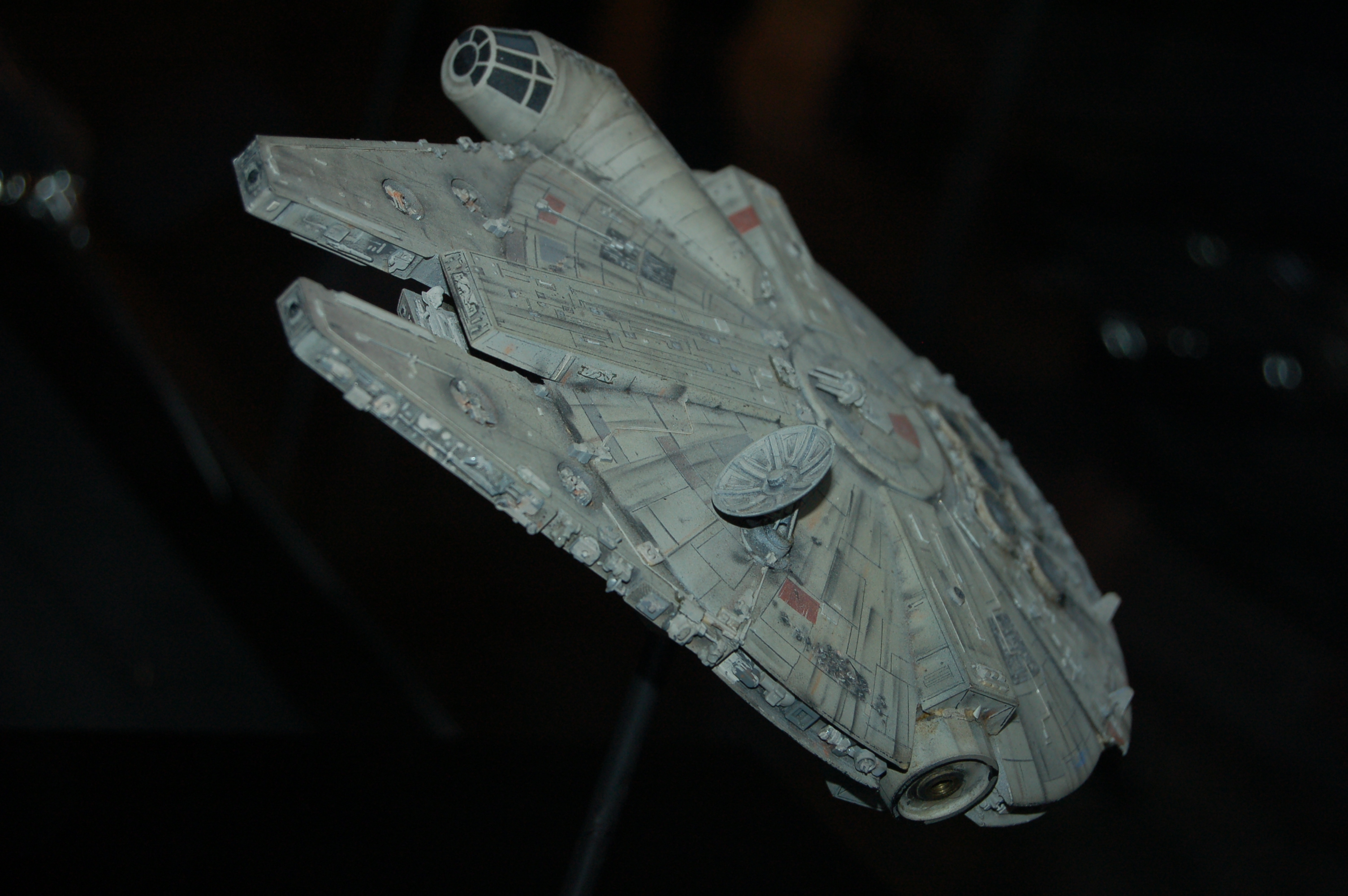 DSC_5051.JPG