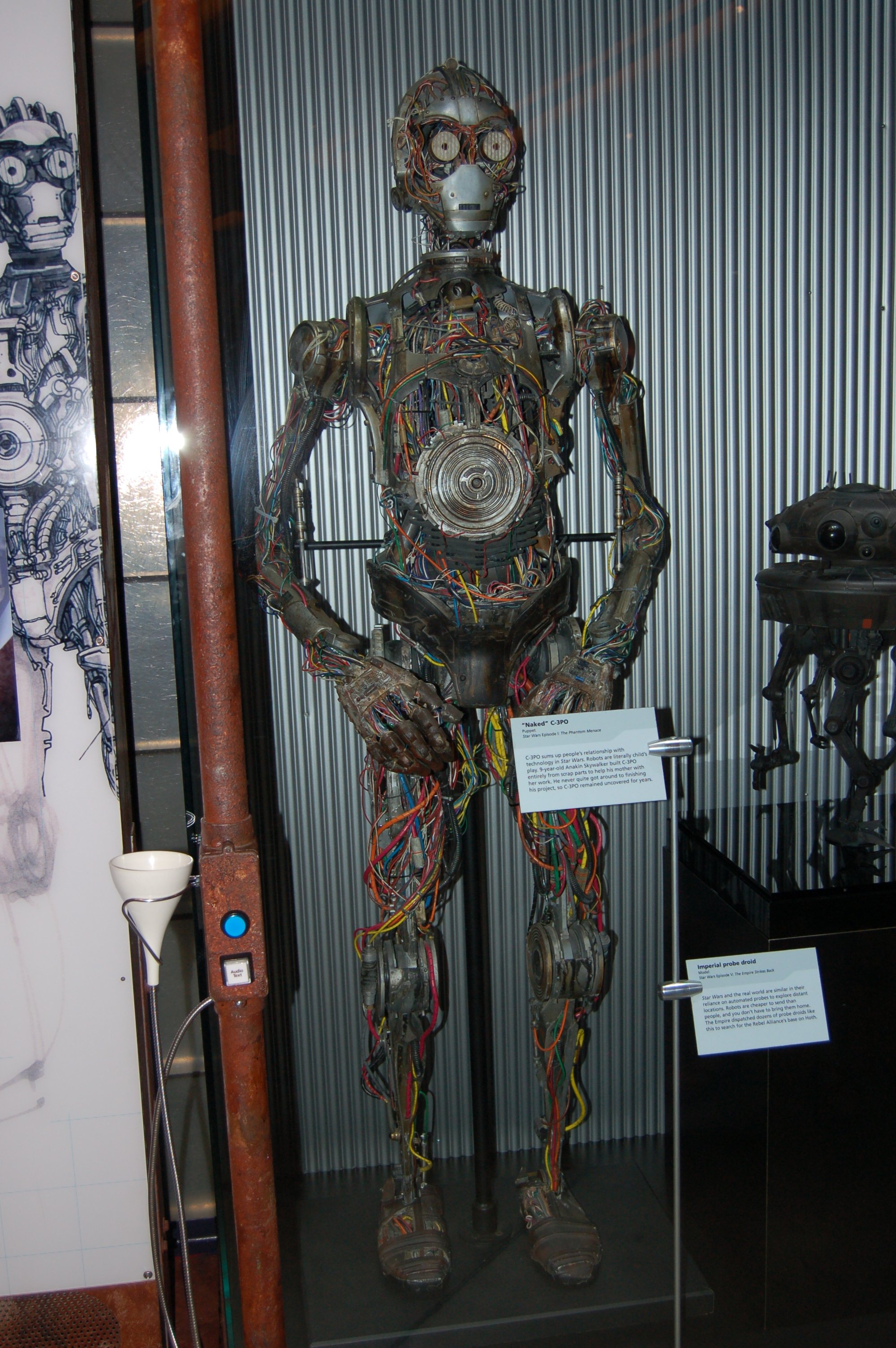 DSC_5072.JPG