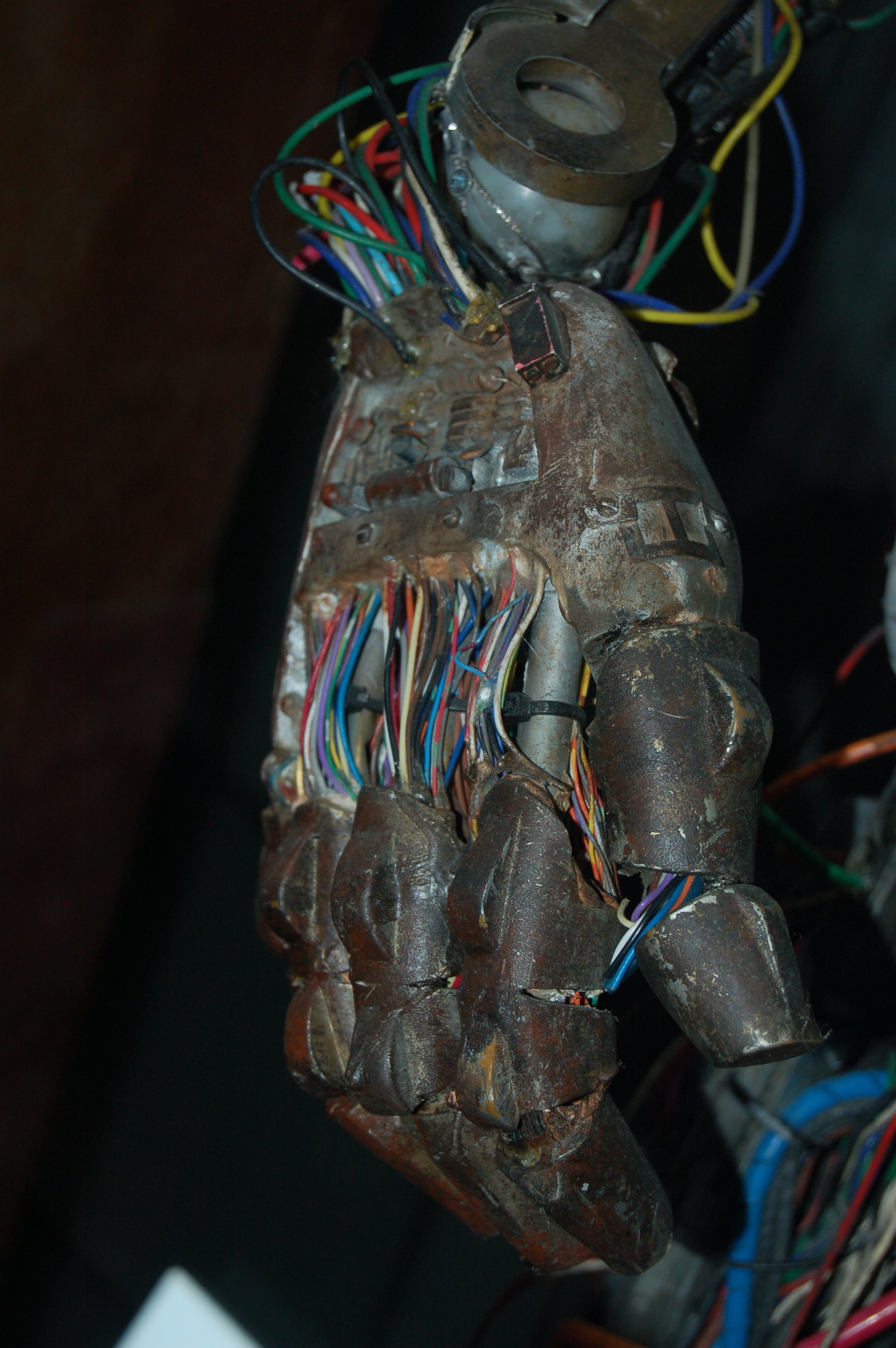 DSC_5082.JPG