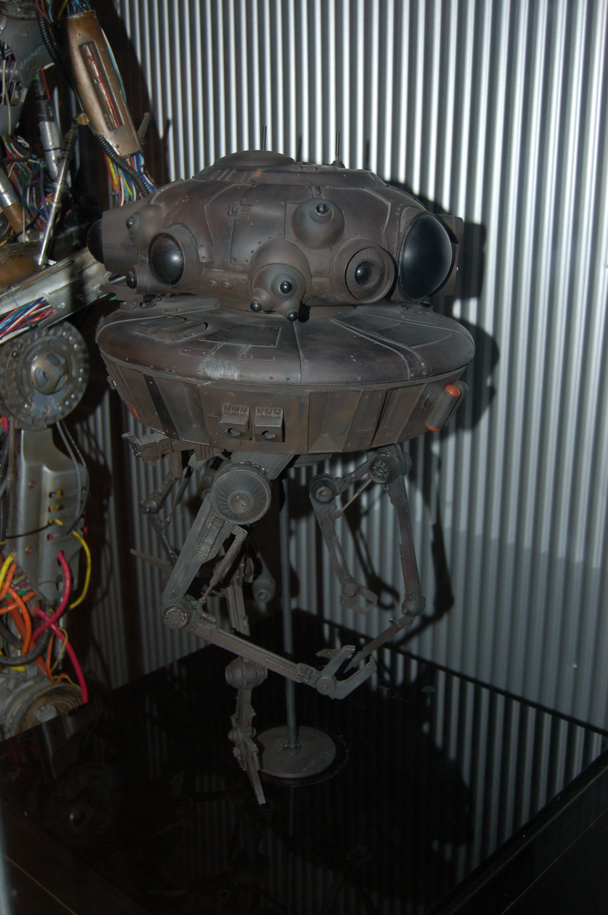 DSC_5087.JPG
