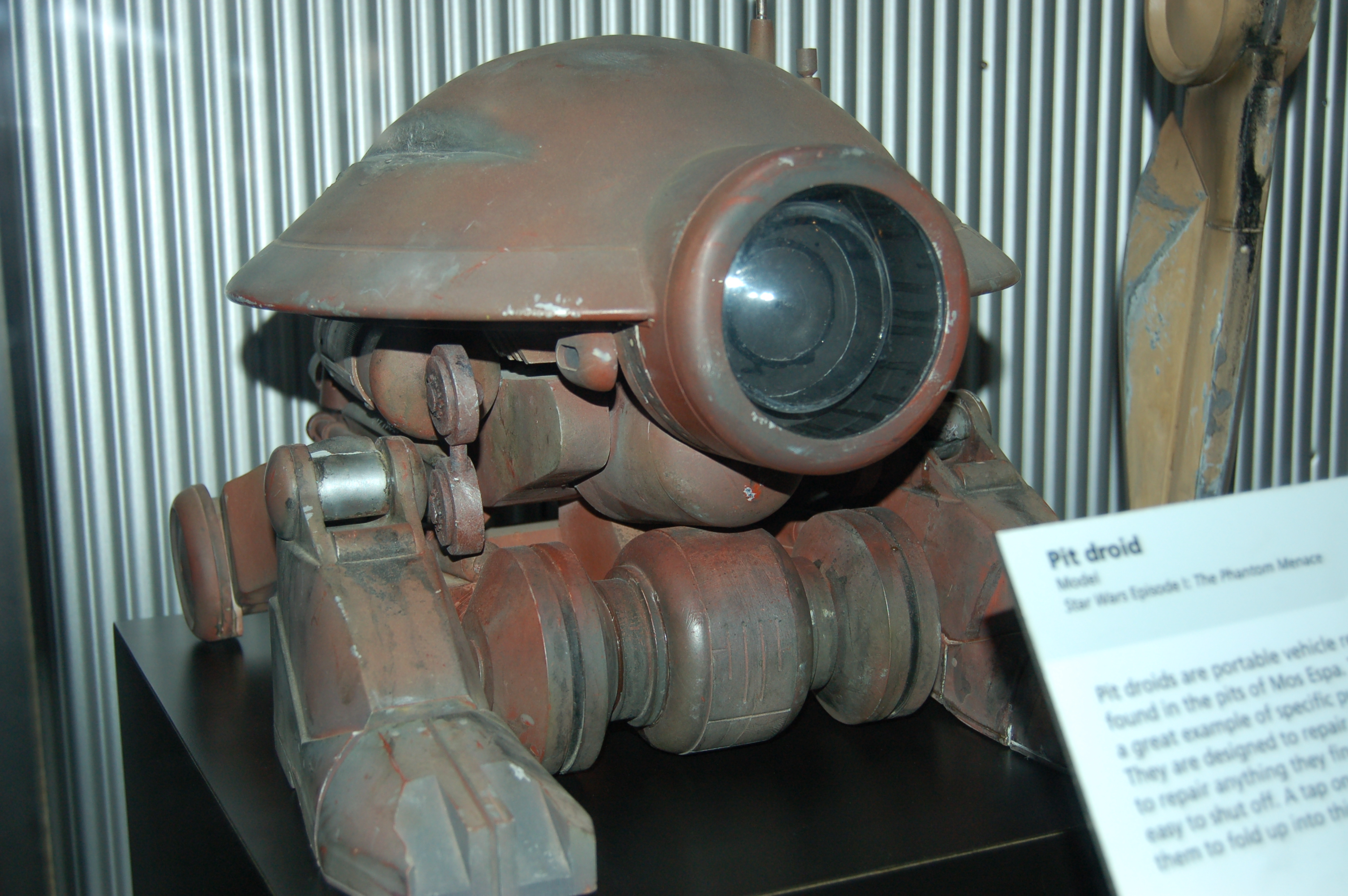 DSC_5088.JPG