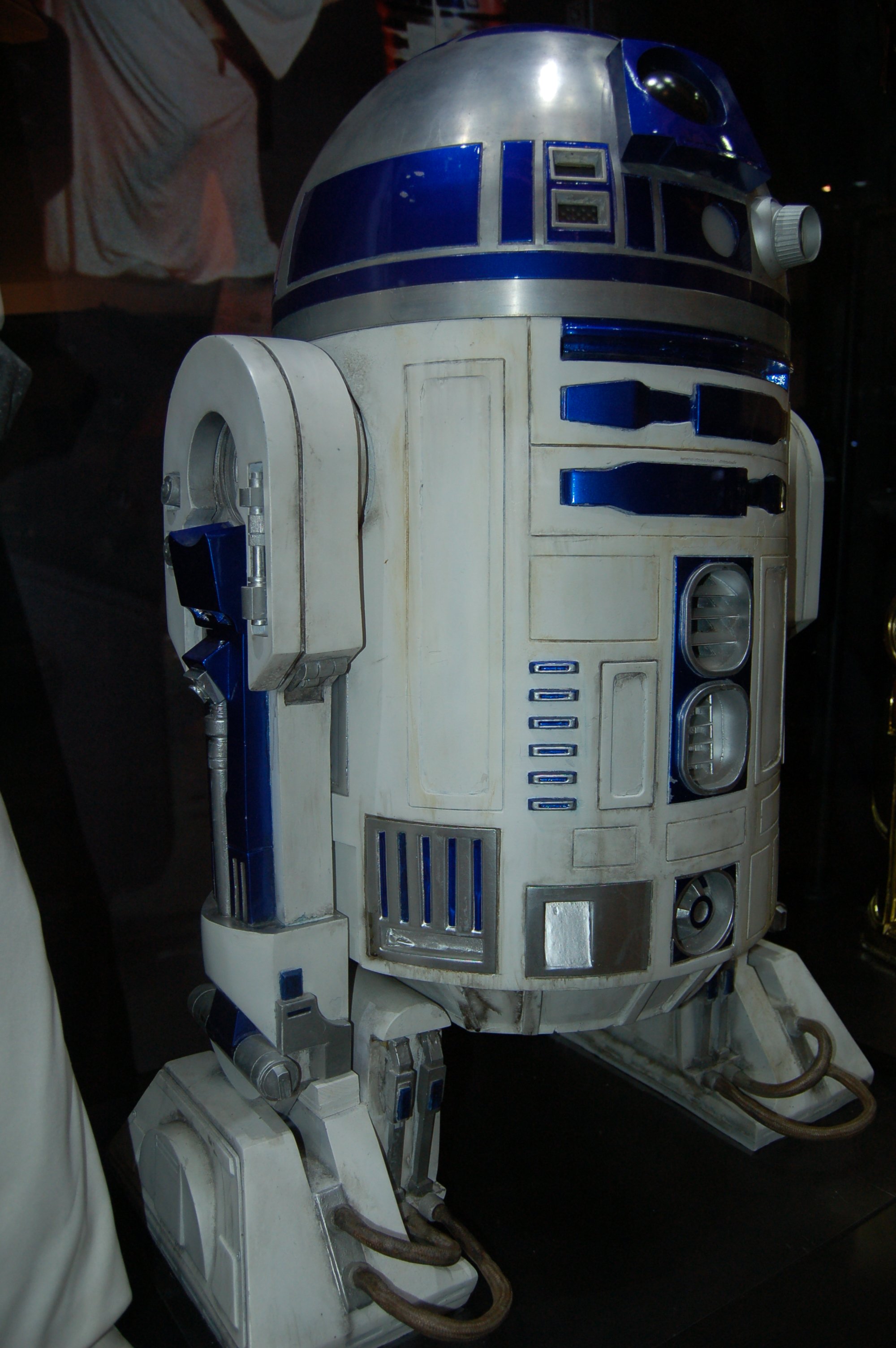DSC_5089.JPG