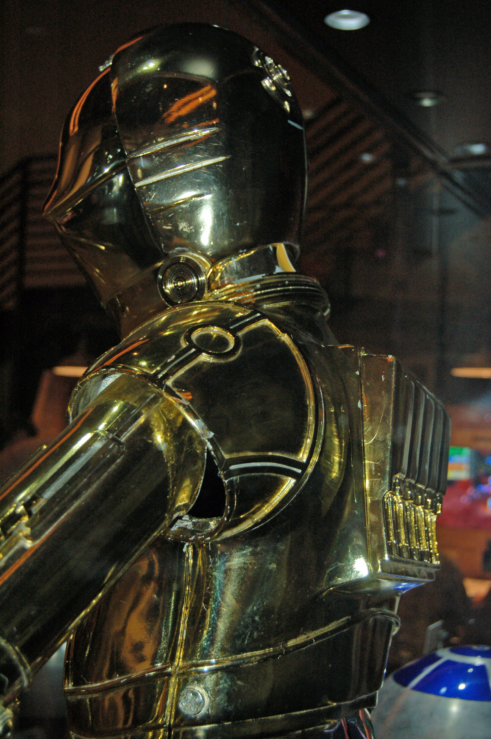 DSC_5107.JPG