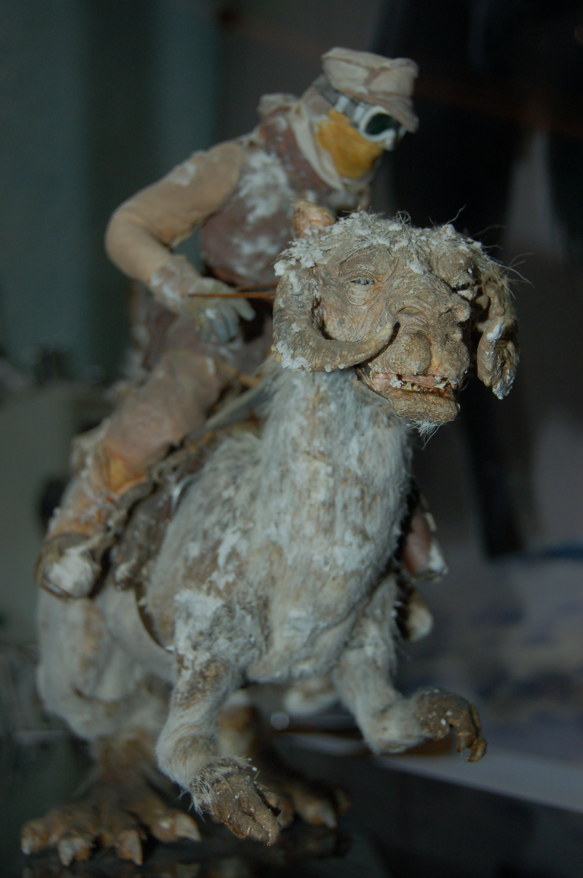 DSC_5108.JPG