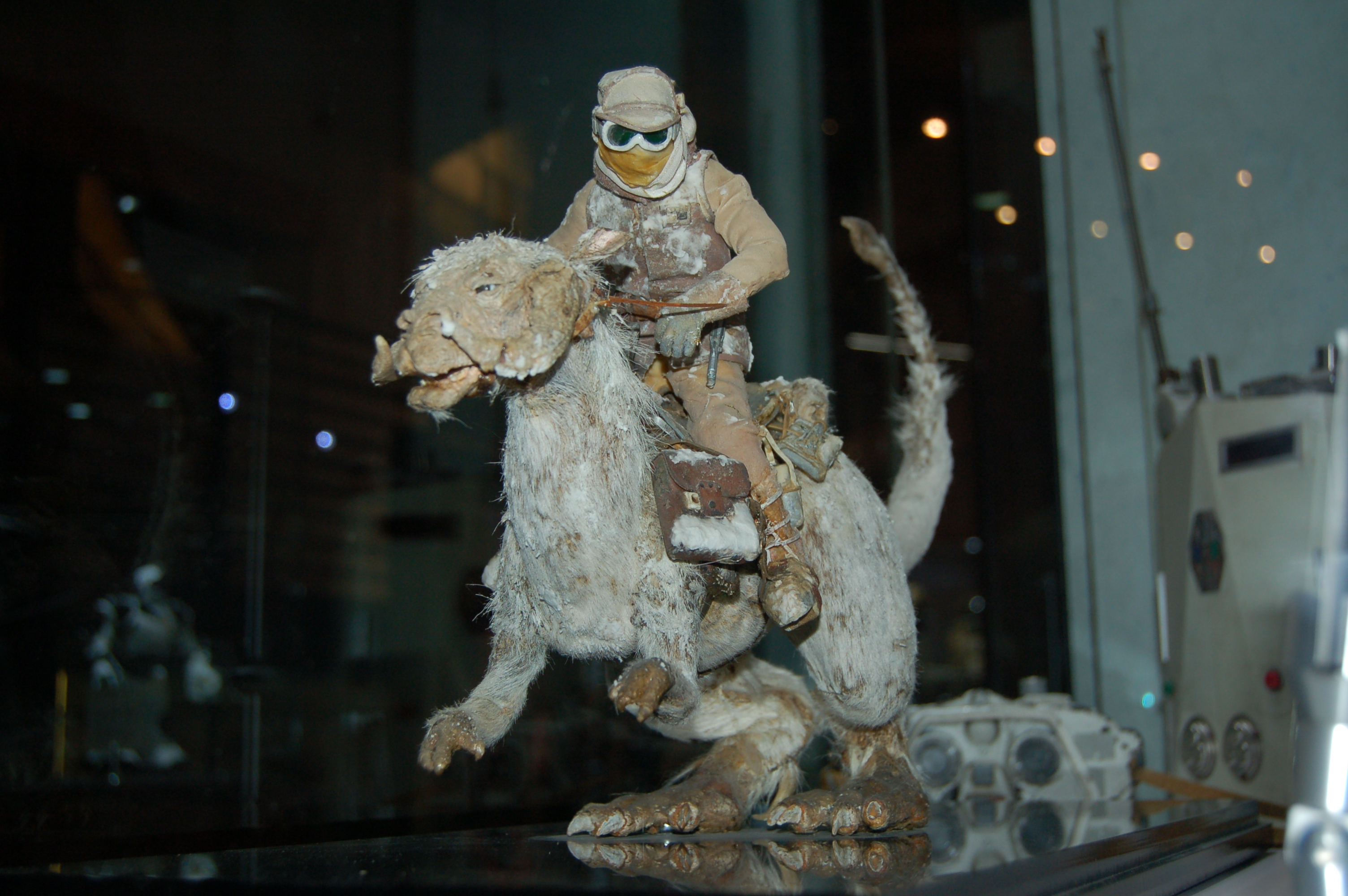 DSC_5110.JPG