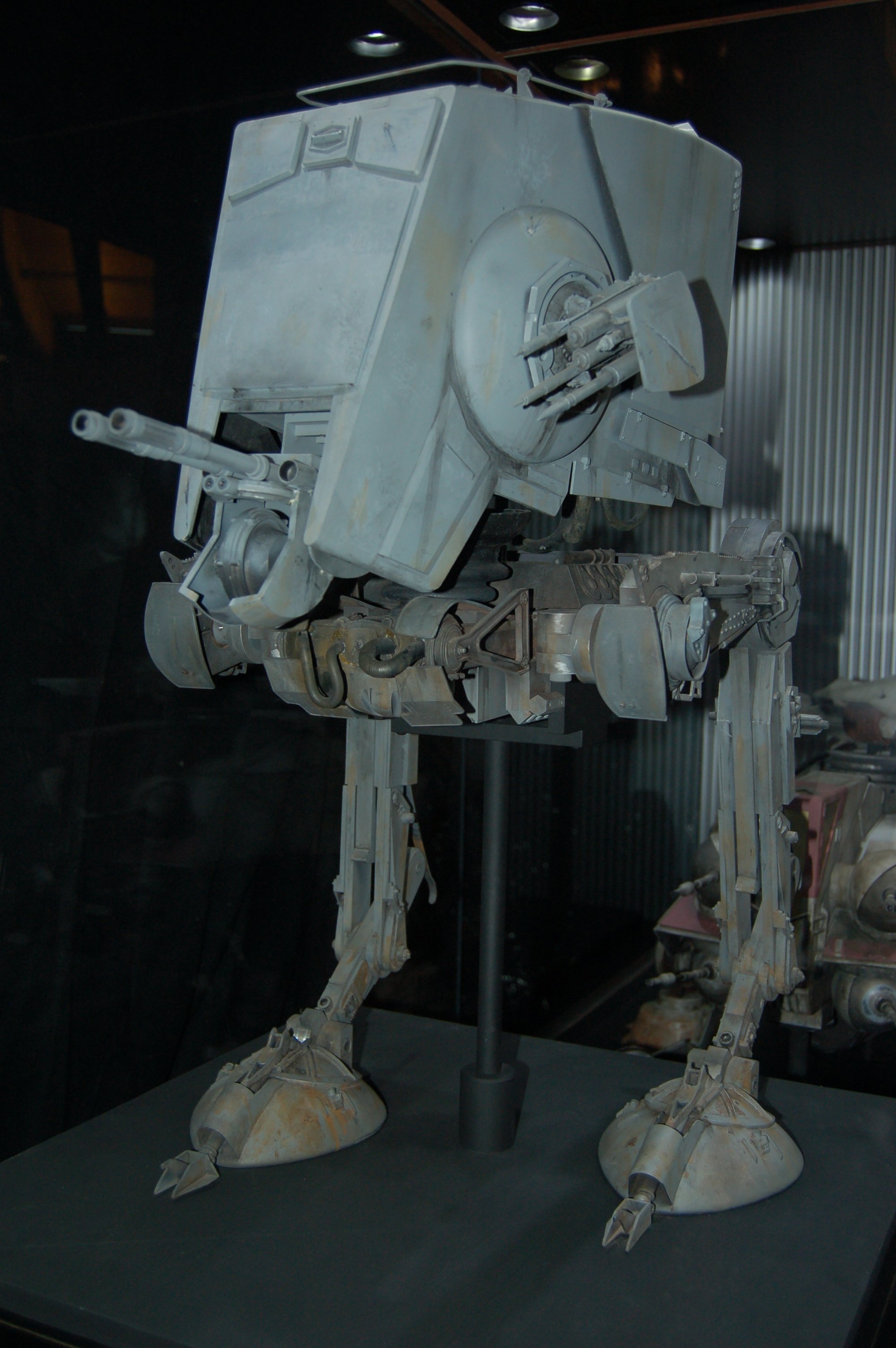 DSC_5123.JPG