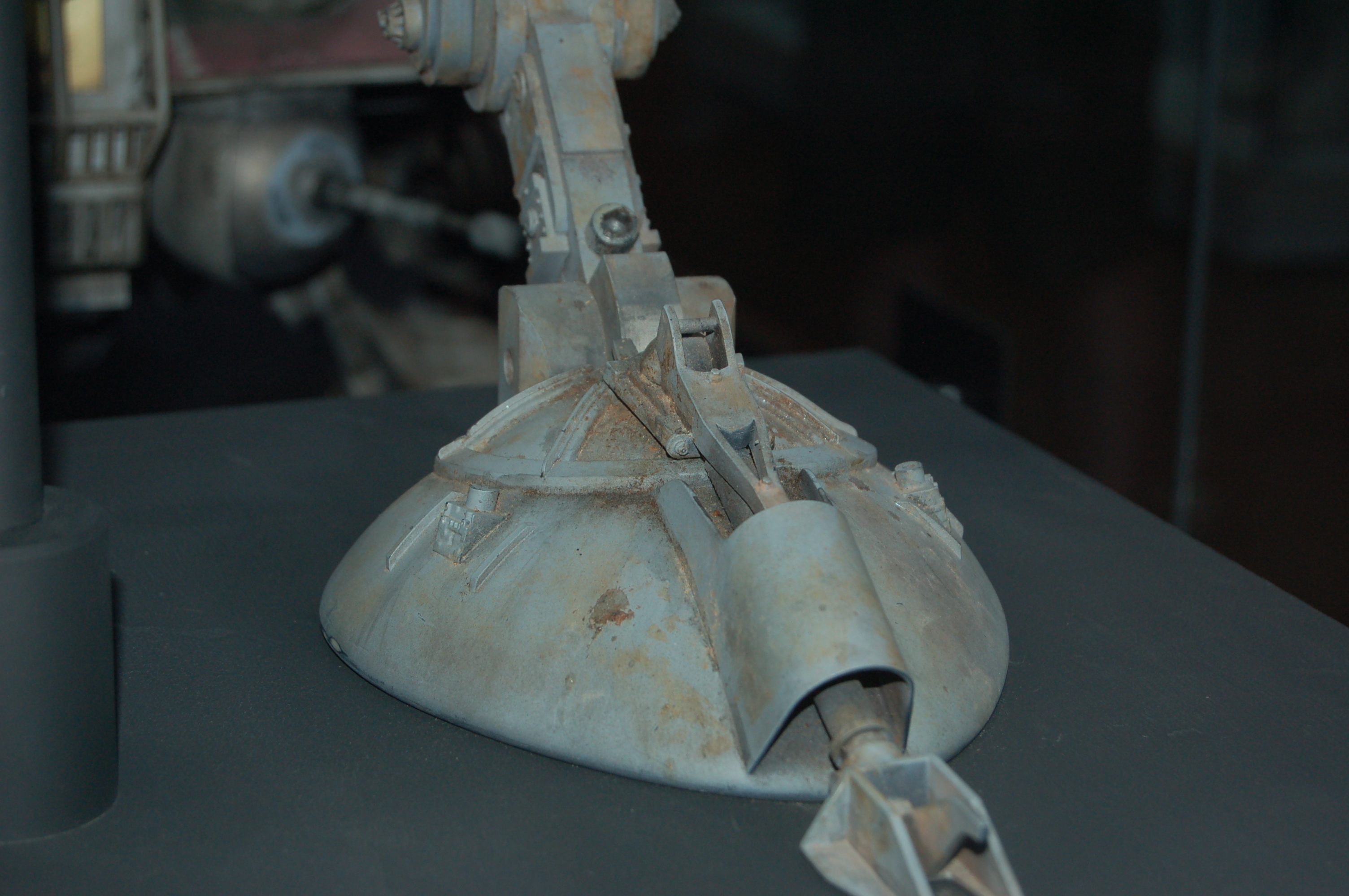 DSC_5125.JPG