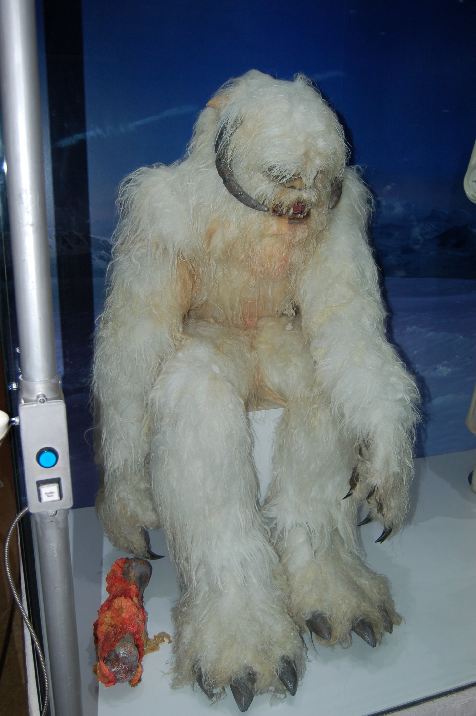 DSC_5141.JPG