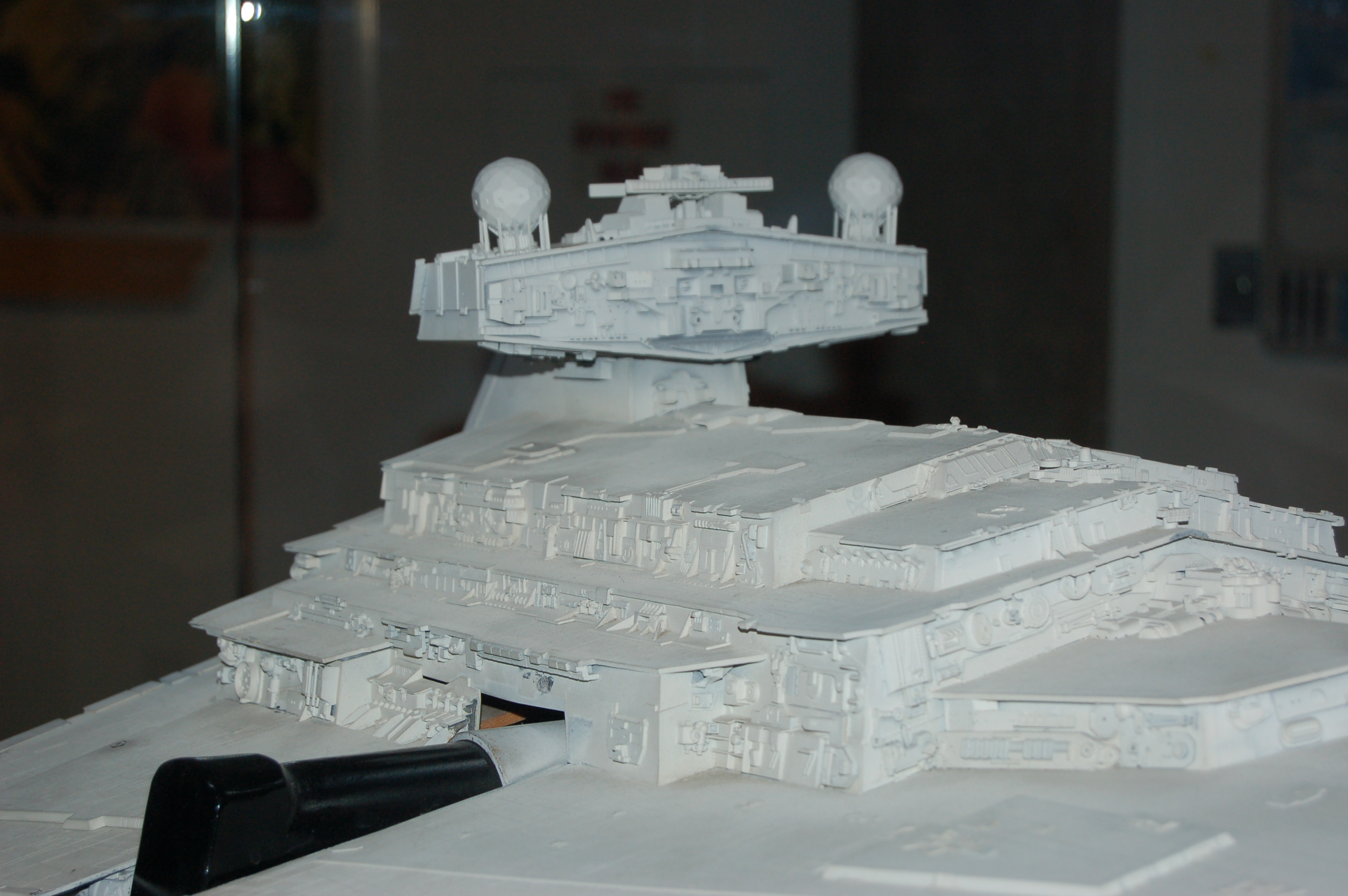 DSC_5239.JPG