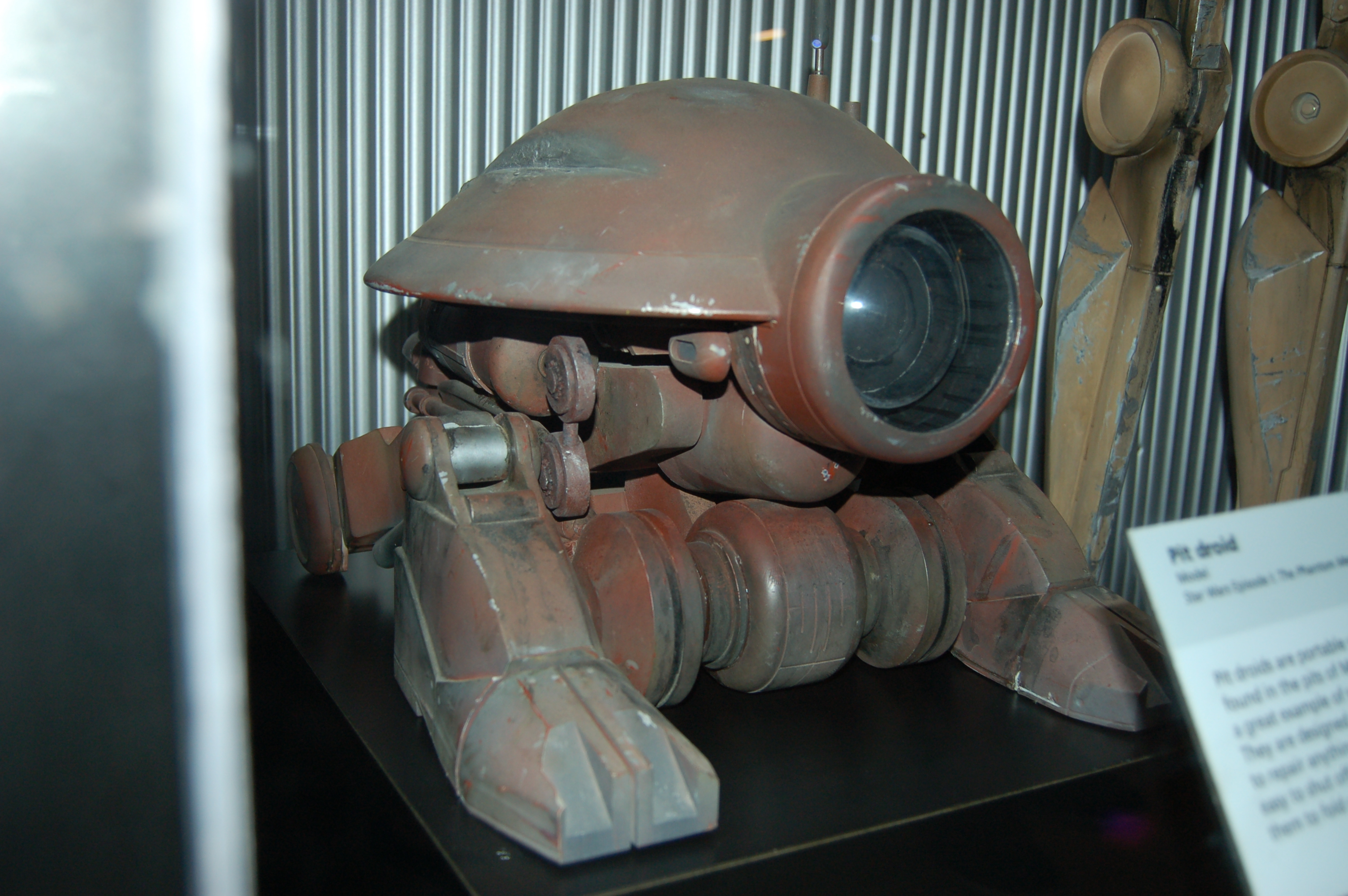 DSC_5711.JPG