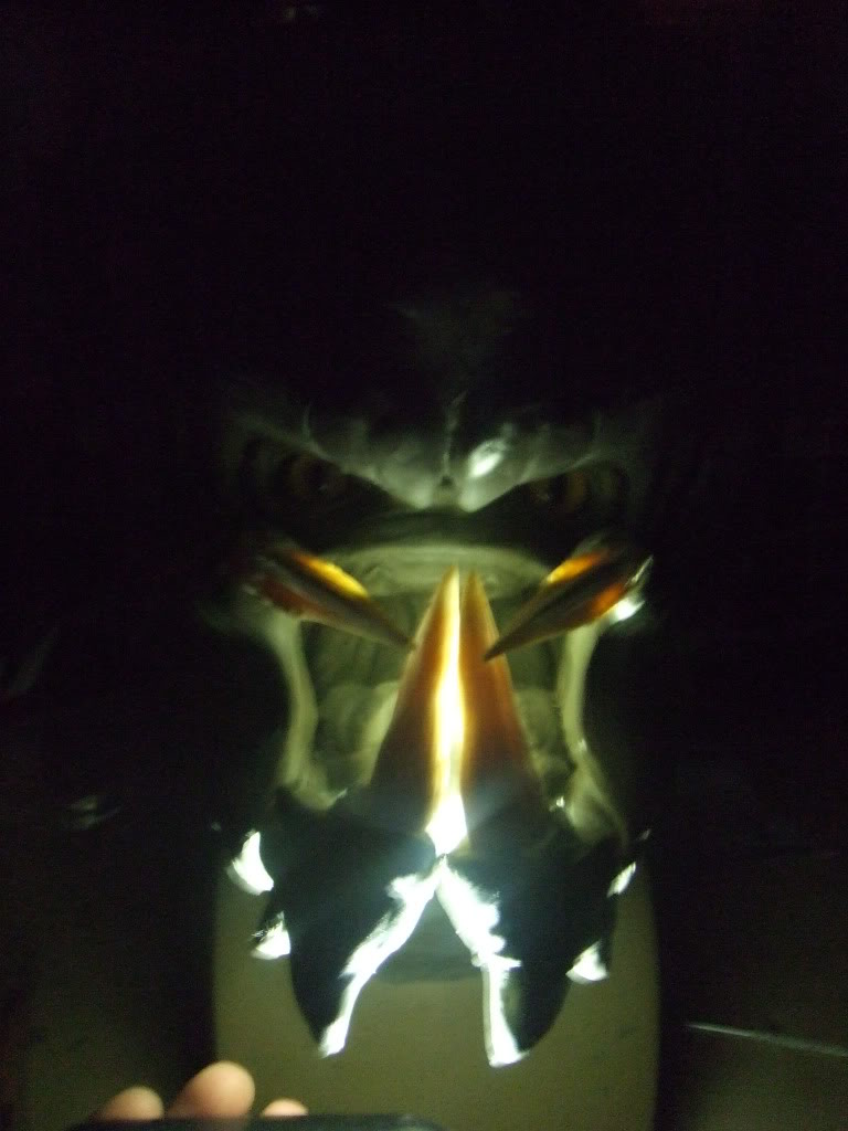 DSCF1115.jpg