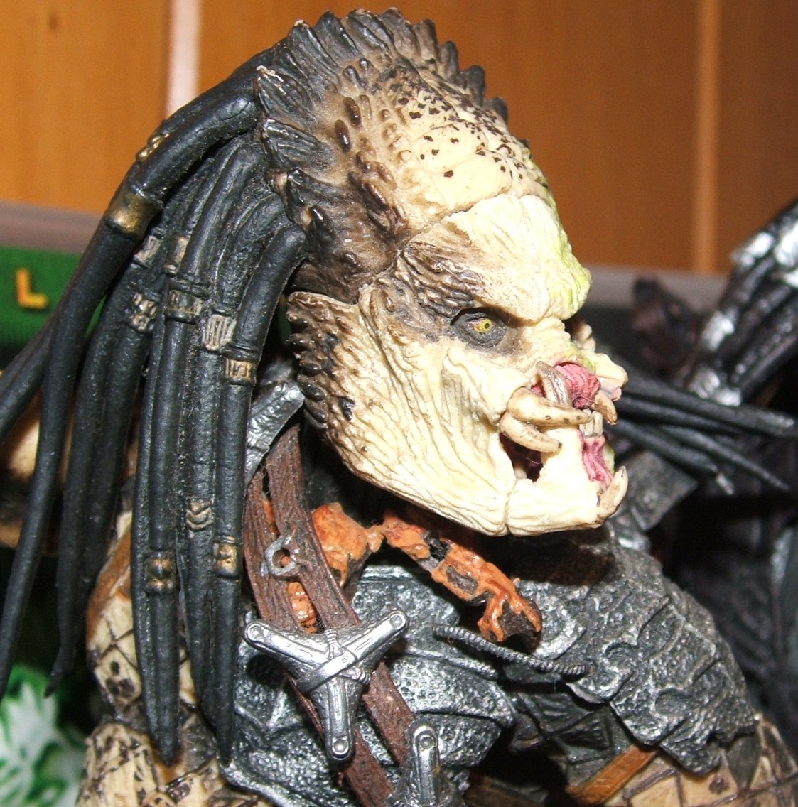 DSCF1730.JPG