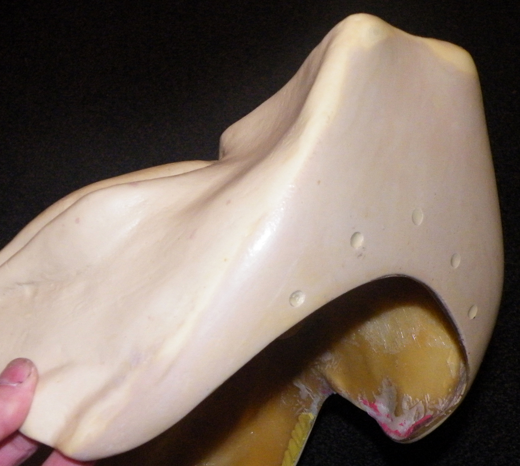dscf7346.jpg