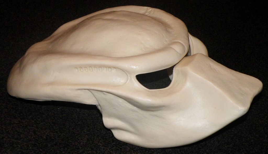 dscf7379i.jpg