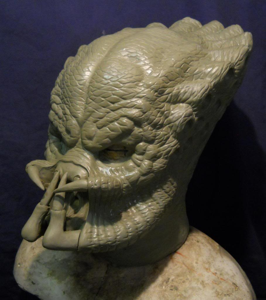 DSCN0541_crop.jpg