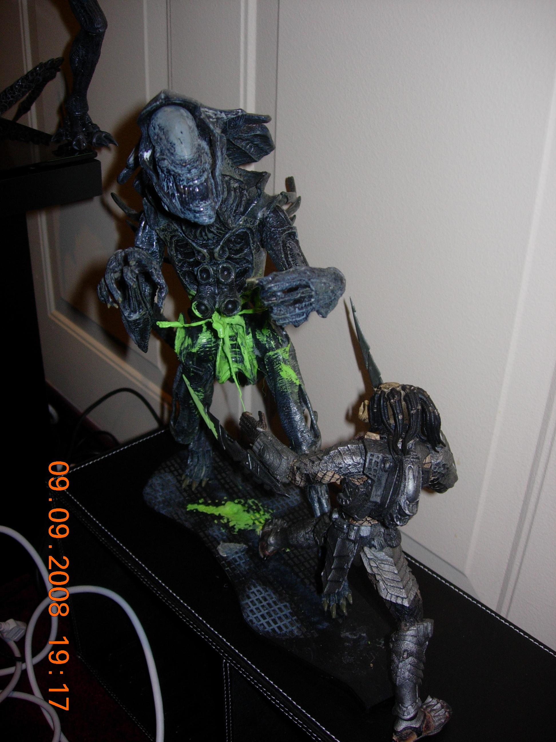 DSCN0617.JPG