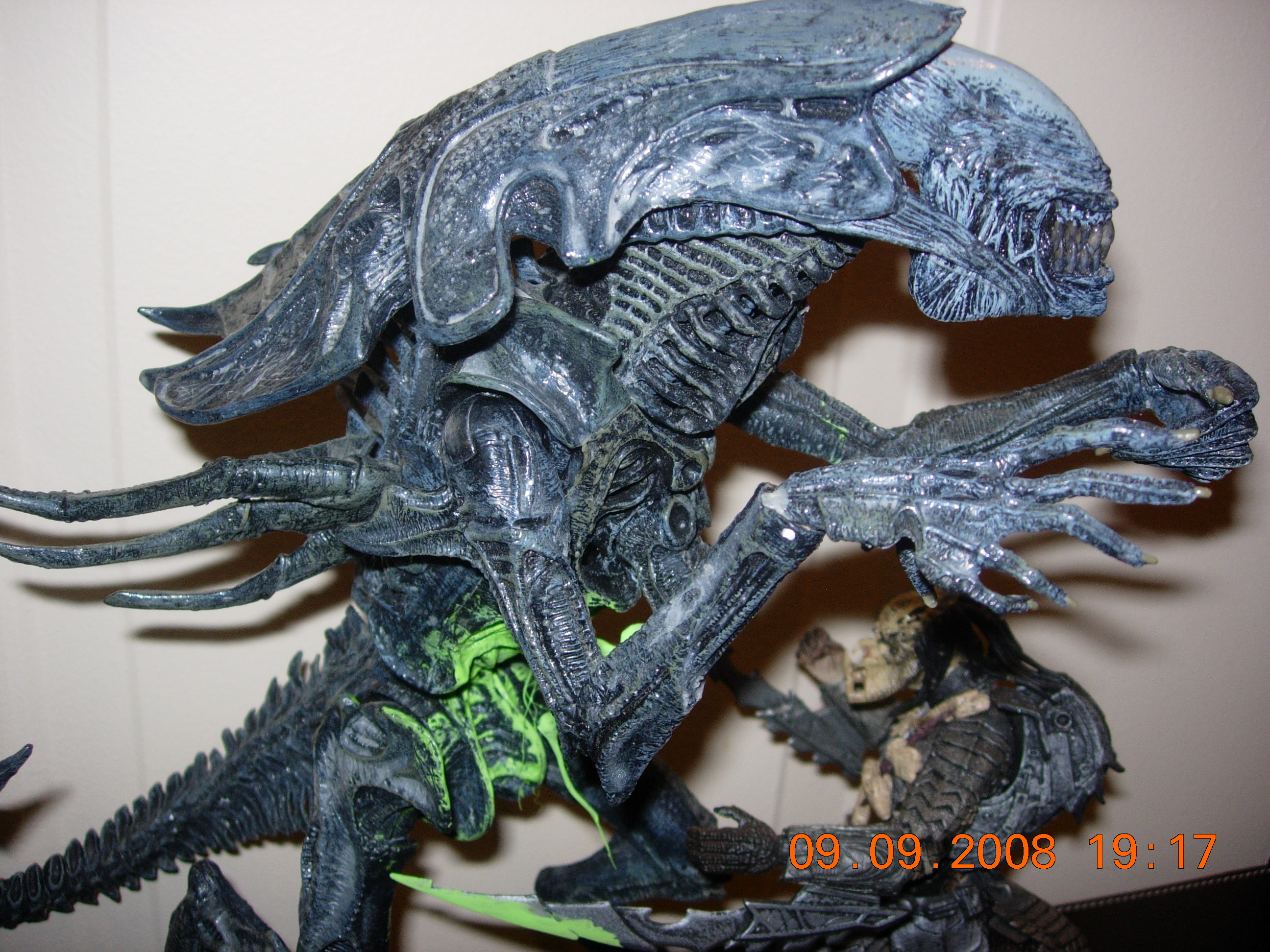 DSCN0619.JPG