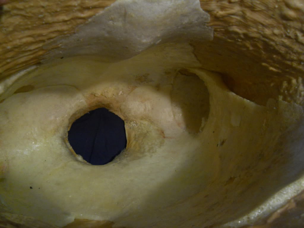 DSCN0721.jpg