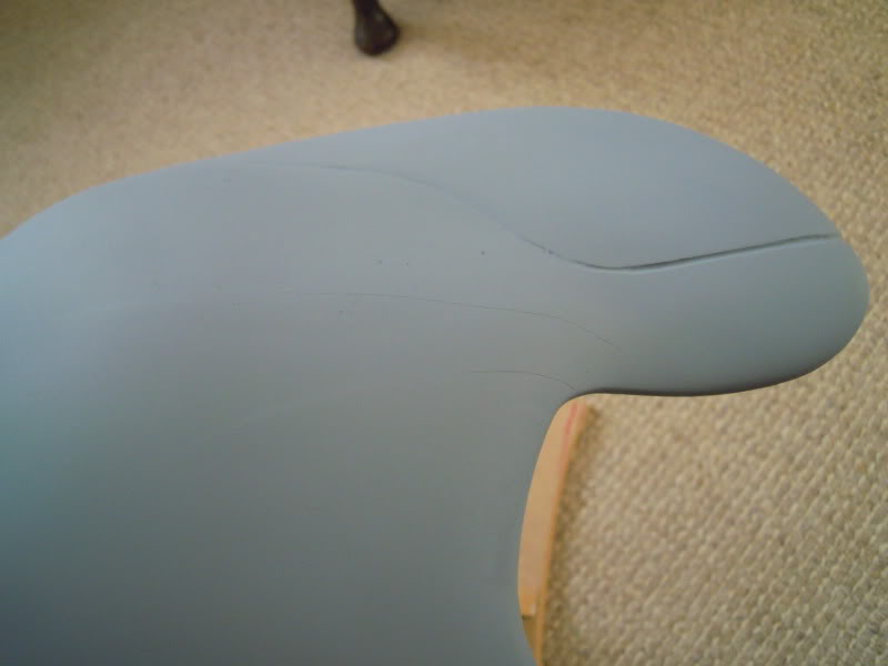 DSCN1310.jpg