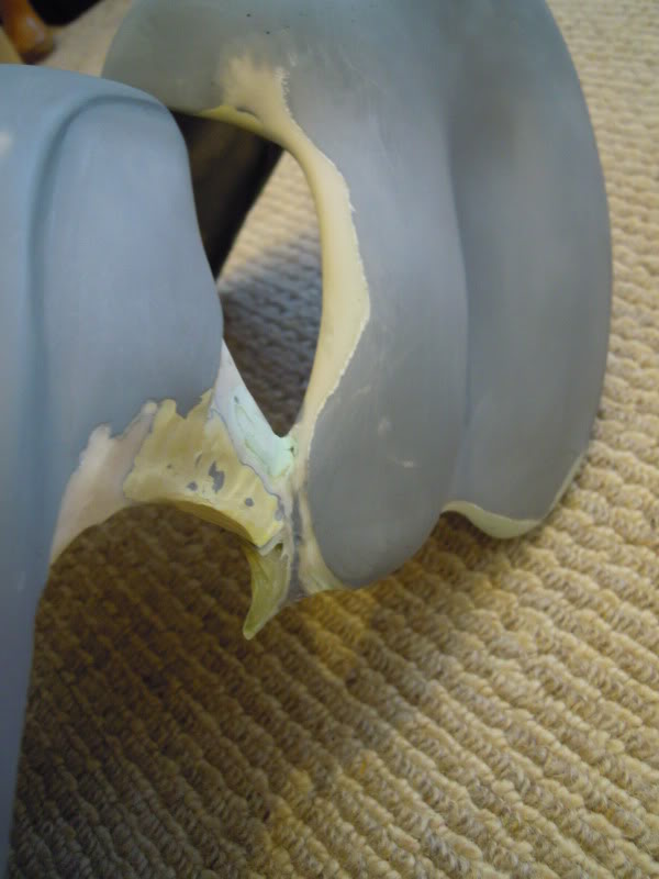 DSCN1367.jpg