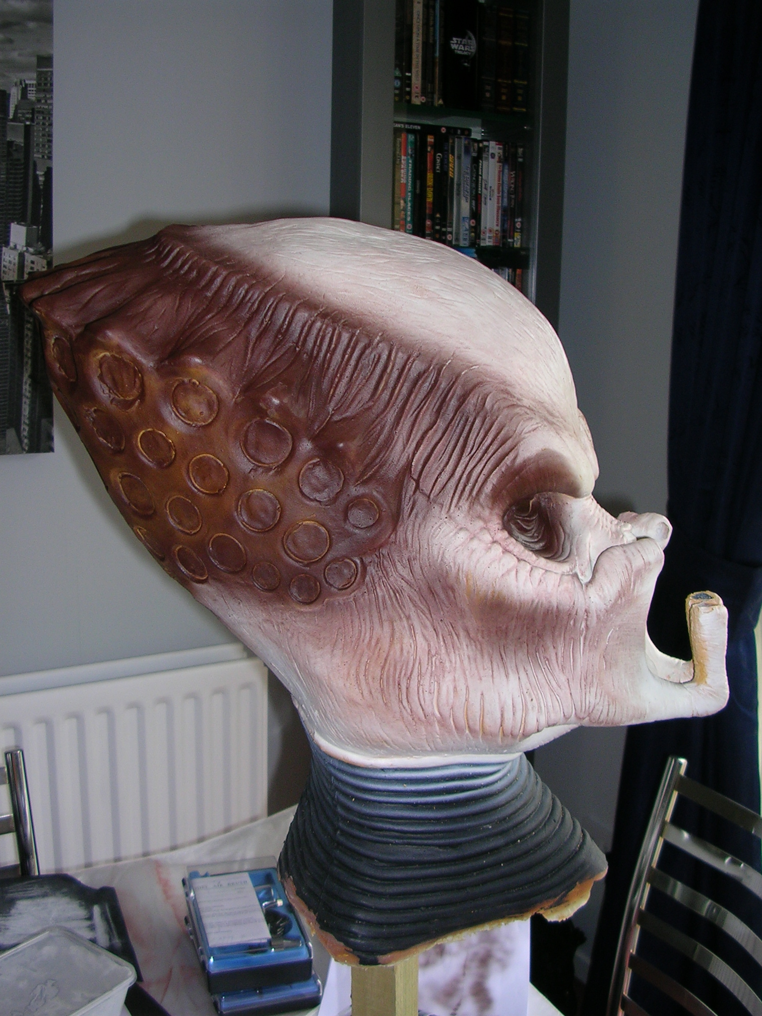 DSCN1506.JPG