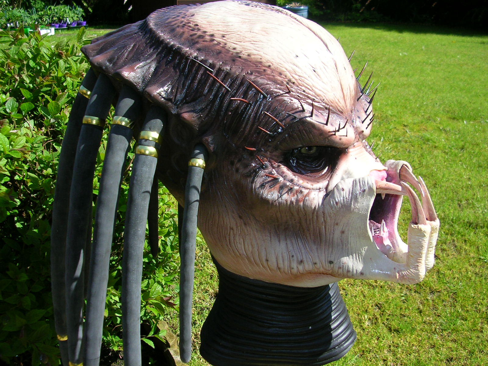 DSCN1537.JPG