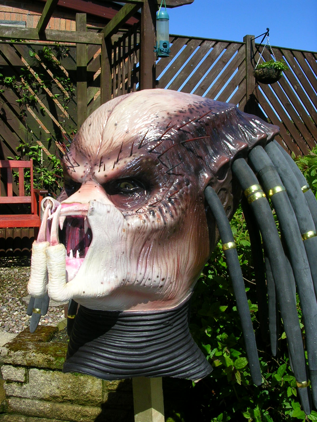 DSCN1539.JPG