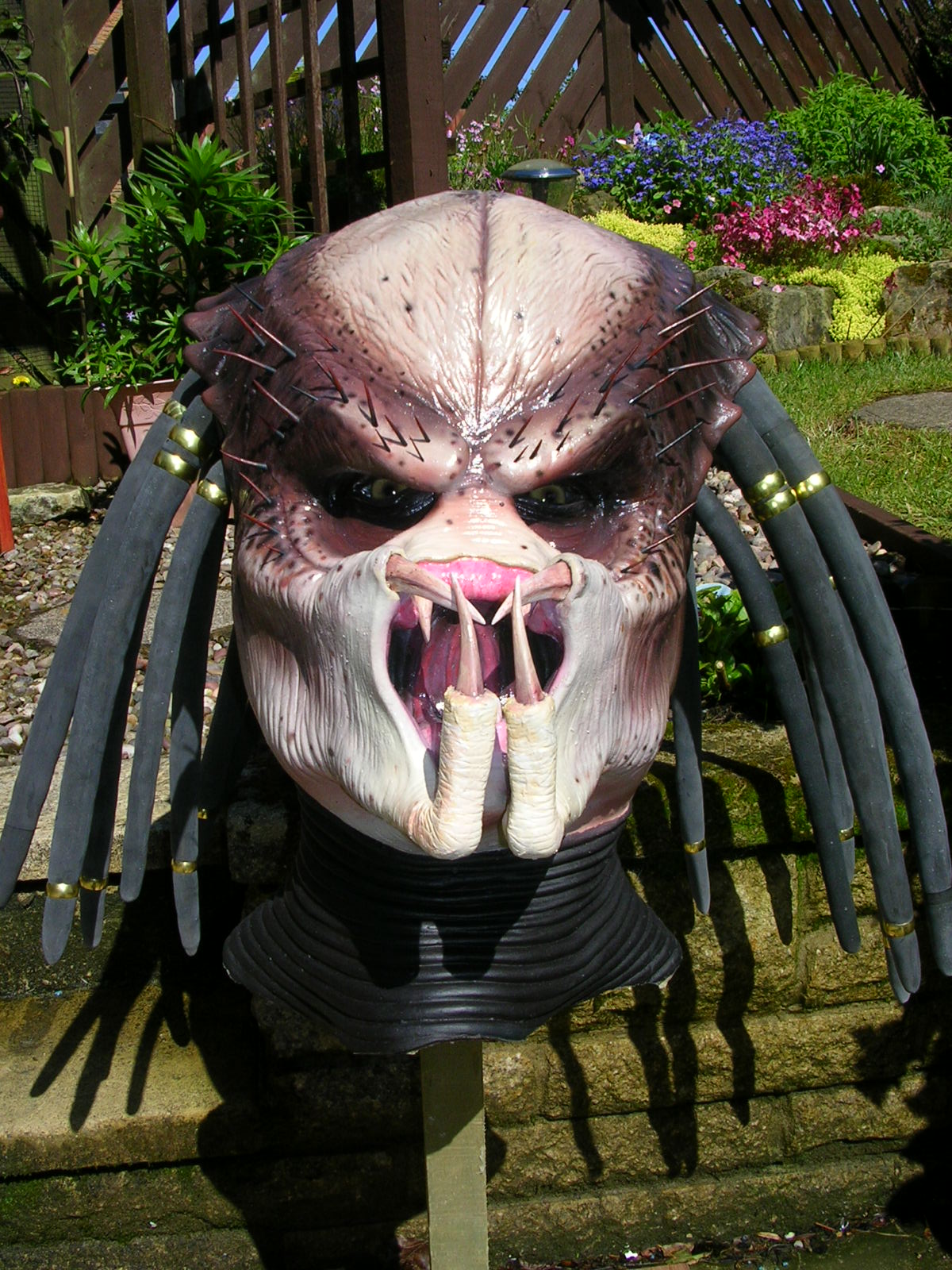 DSCN1540.JPG