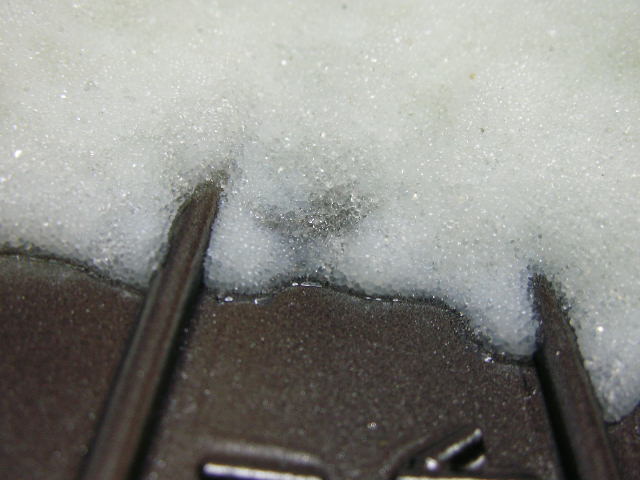DSCN1655.JPG