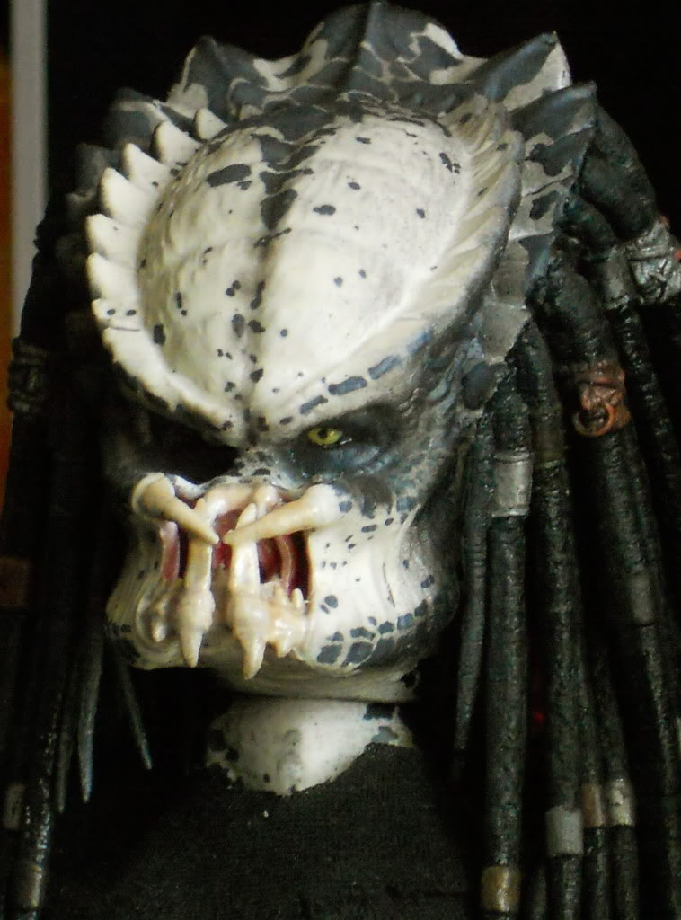 DSCN2173.jpg