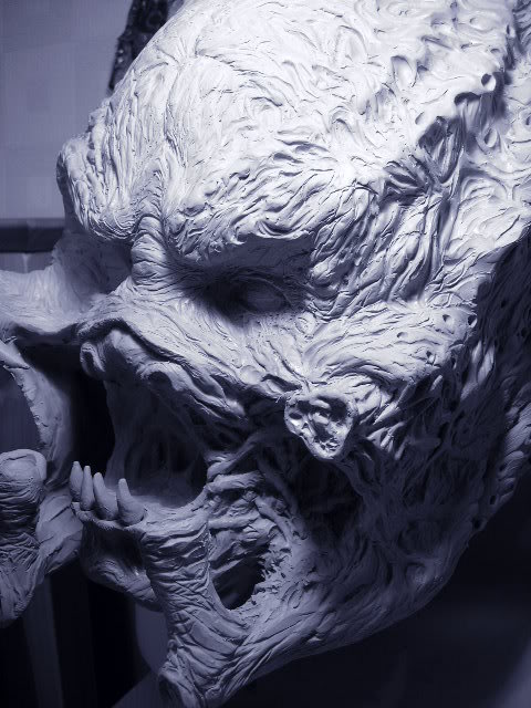 DSCN2631.jpg
