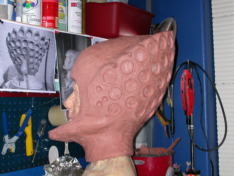 DSCN5575.jpg