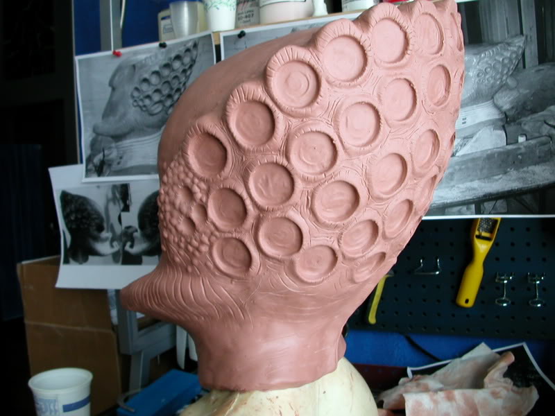 DSCN5632.jpg