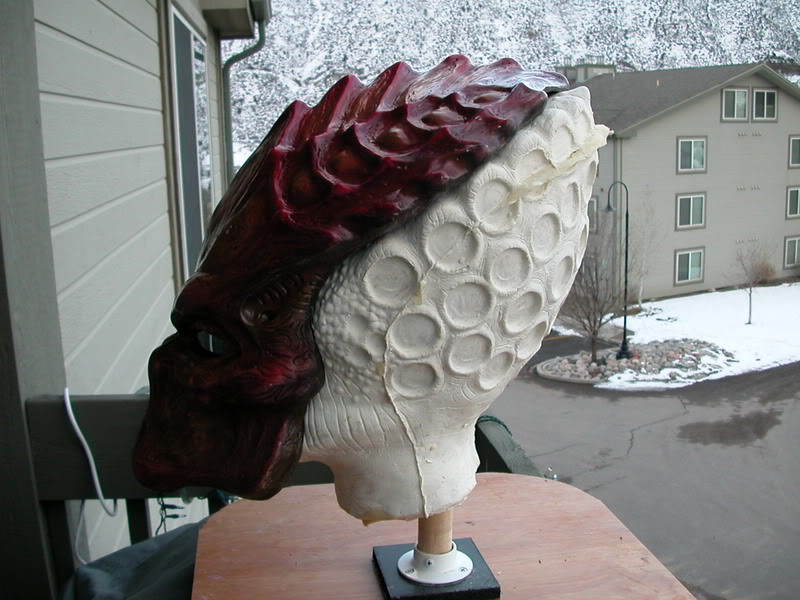 DSCN5671.jpg