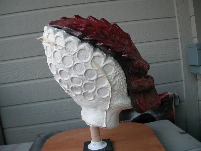 DSCN5673.jpg