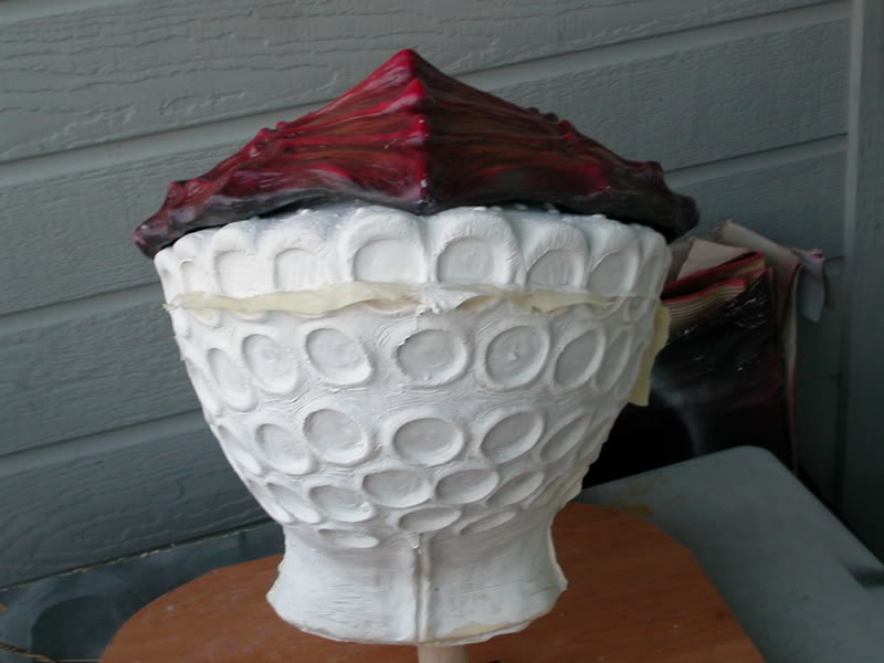 DSCN5674.jpg