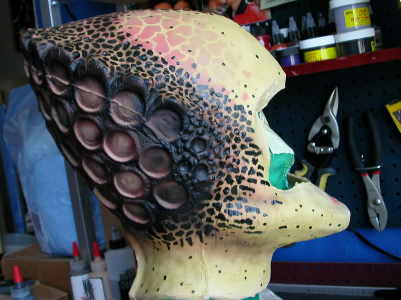 DSCN5685.jpg