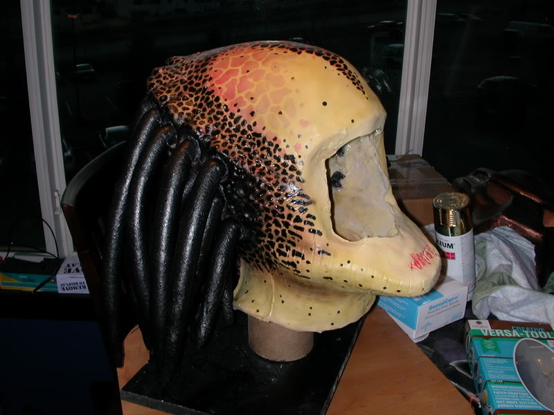 DSCN5686.jpg