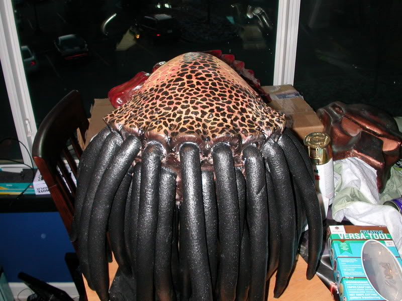 DSCN5691.jpg
