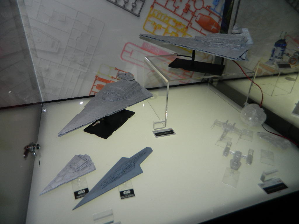 DSCN6251.jpg