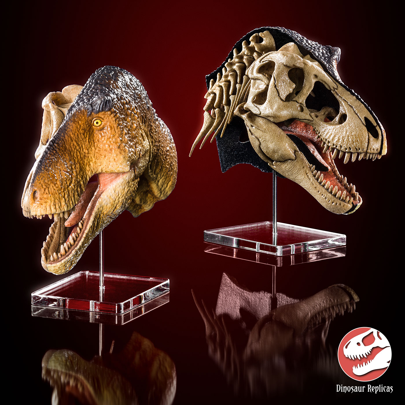 dual_rex_head_01a_by_strick67-dco2exc.jpg