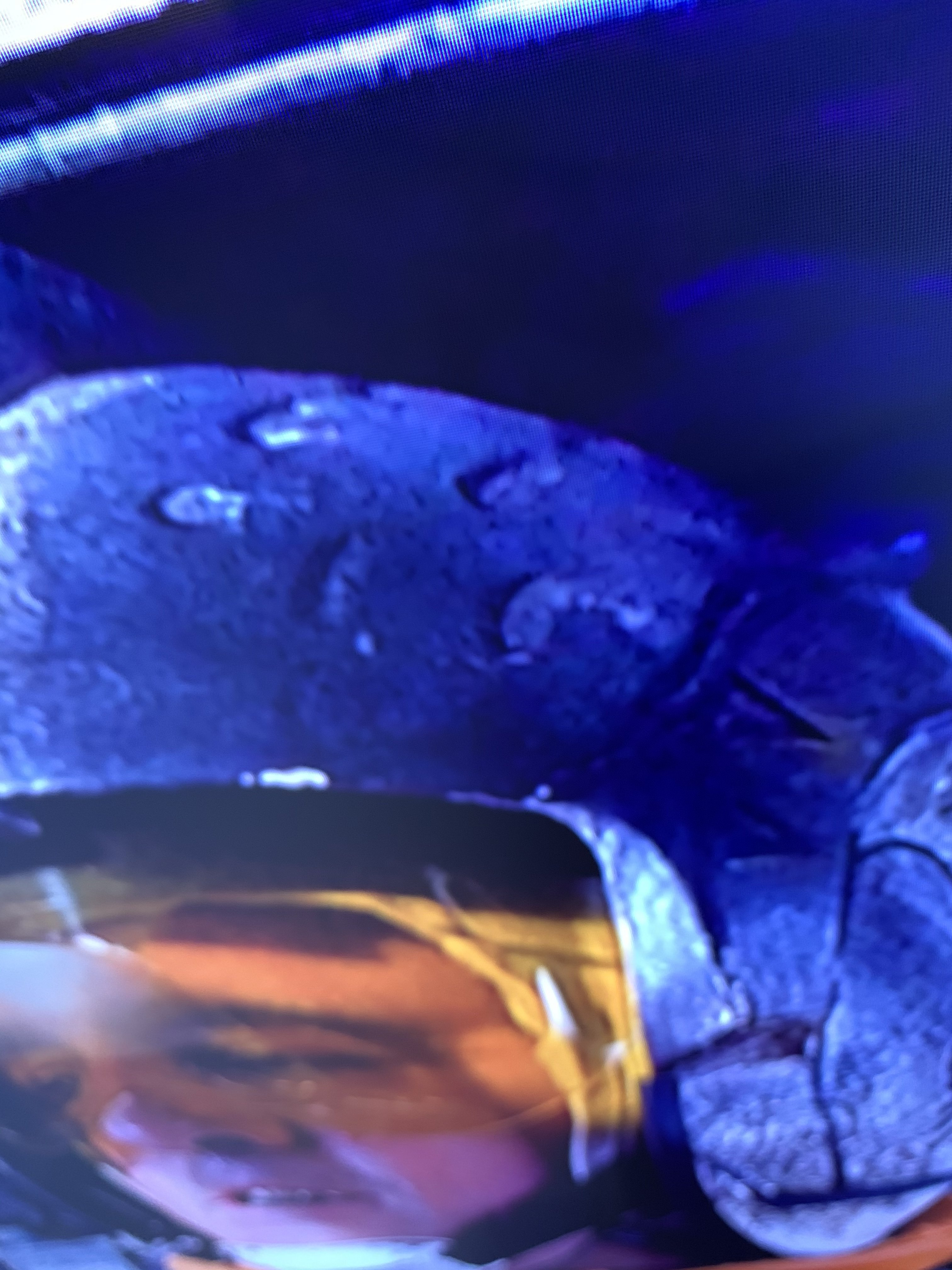 E0268B2F-B279-4FAB-B3EF-13D440F0D9E3.jpeg