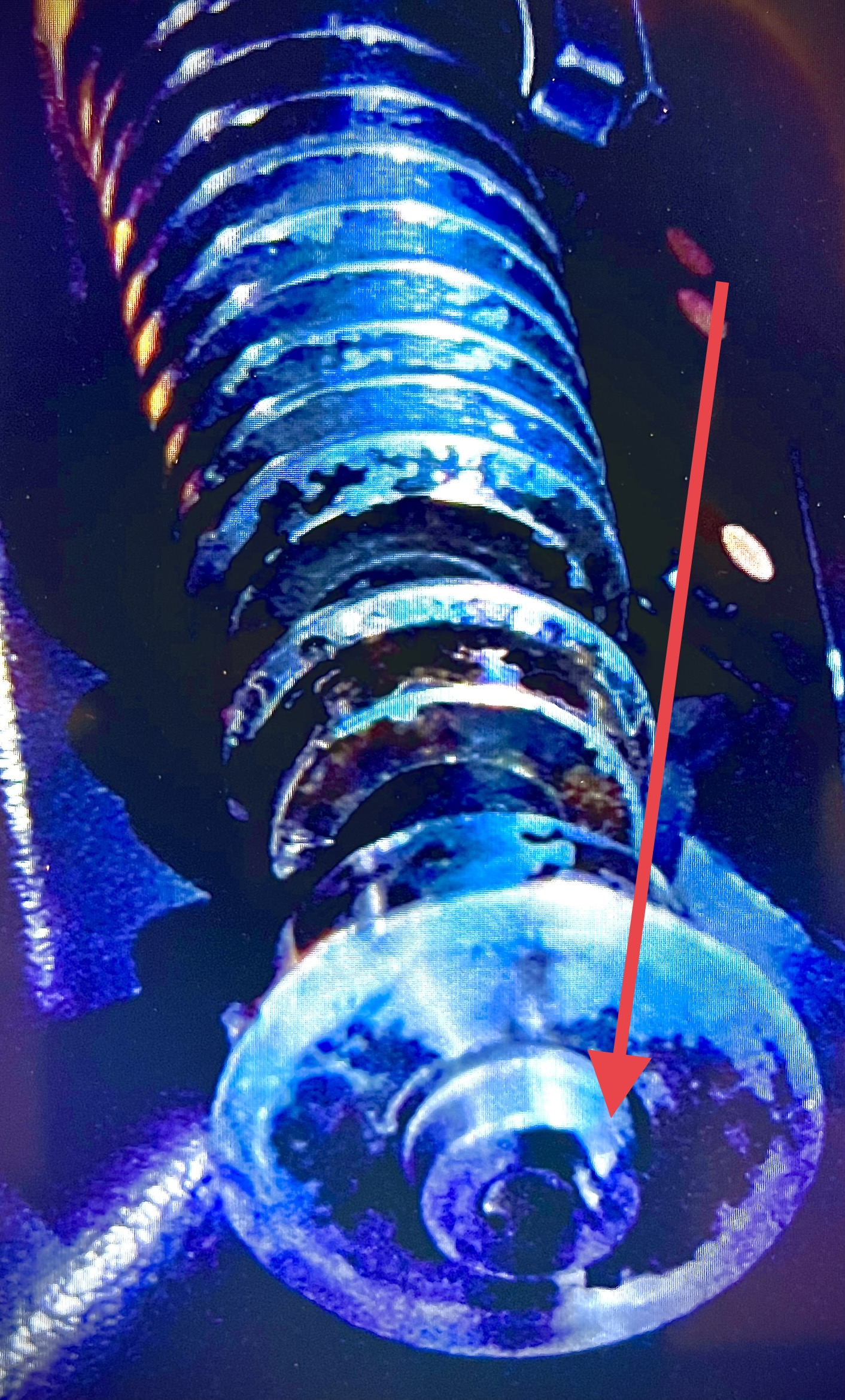 E7863D81-3B32-494F-AA9B-924F4248354D.jpeg