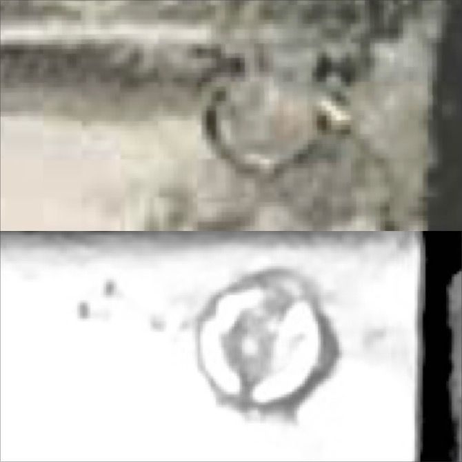 E8C53AB0-6B92-4C58-AD80-B50CEFC92940.jpeg