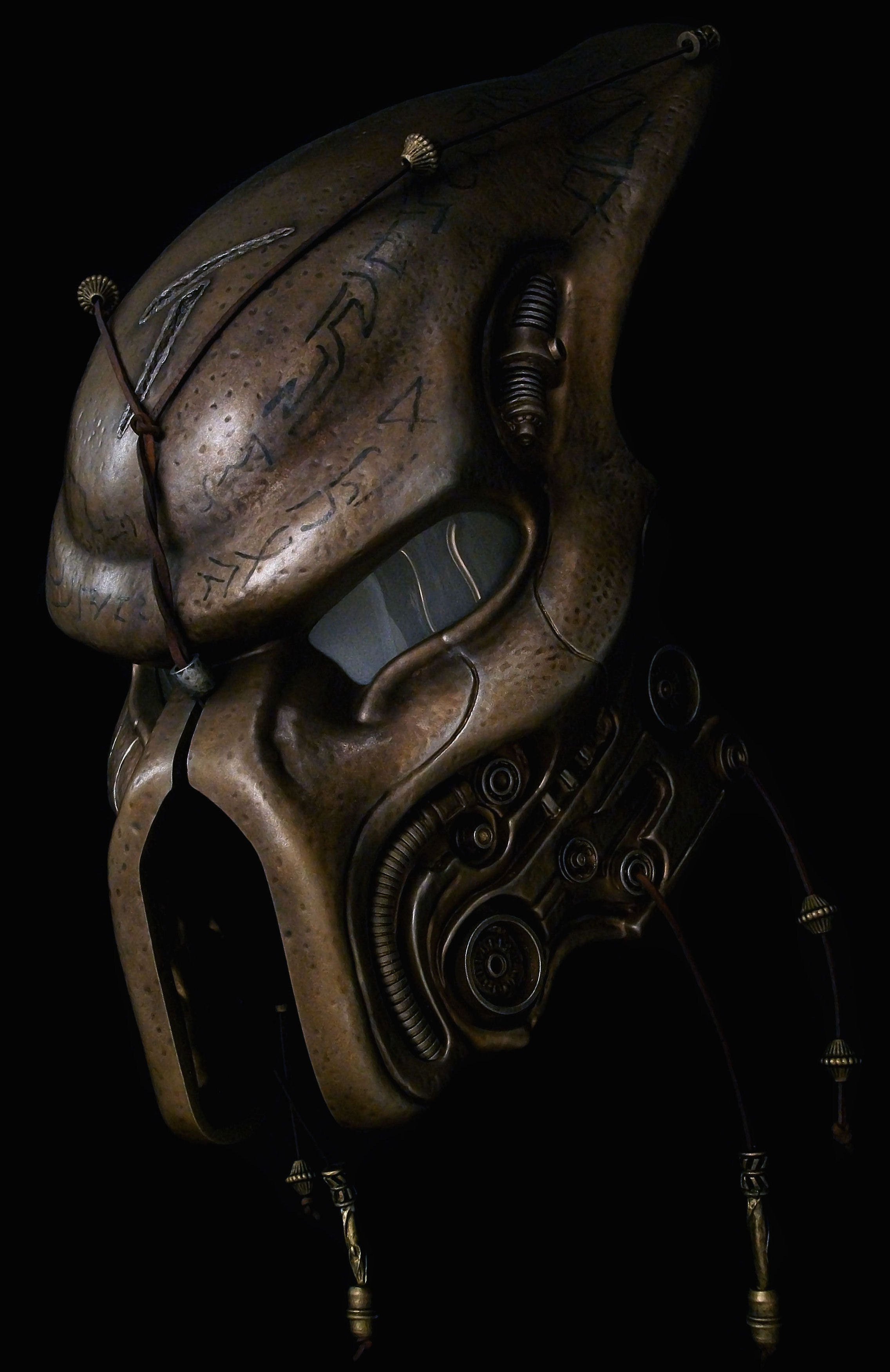 Elder 6.jpg